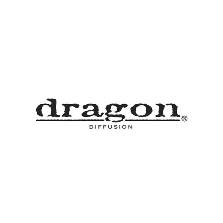 Dragon Diffusion