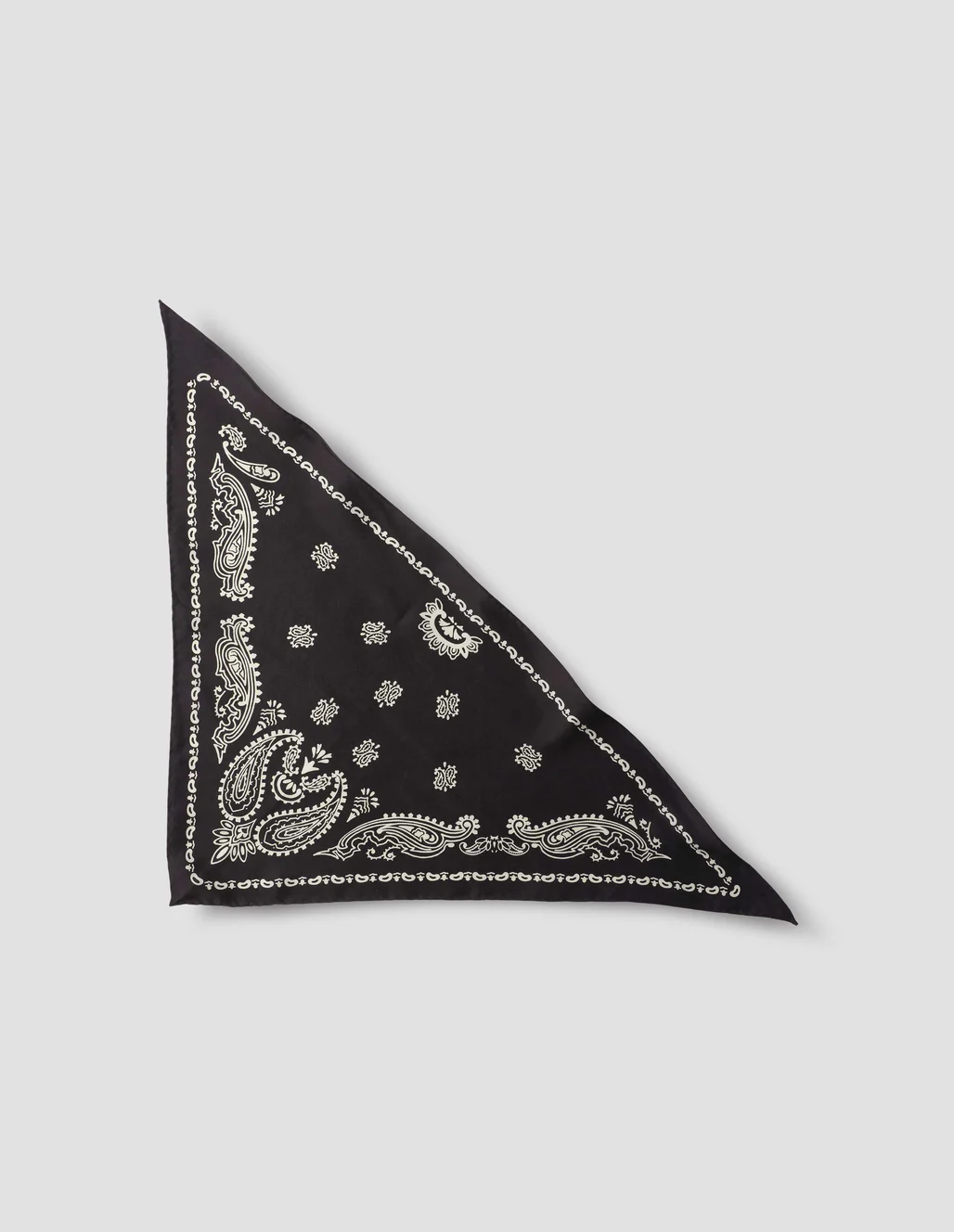 Foulard en Soie Bandana